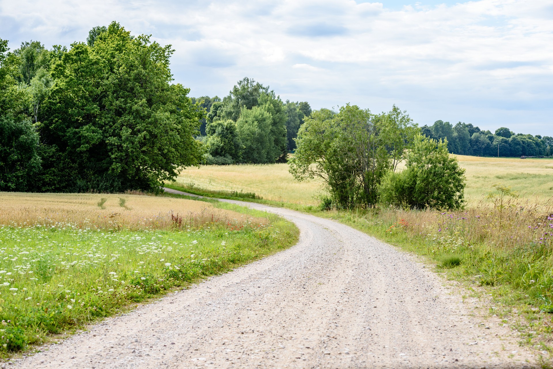 romantic gravel road in country under blue sky